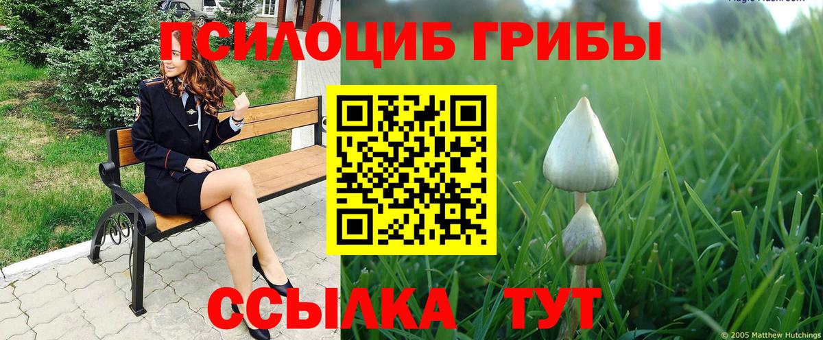 Галлюциногенные грибы мухоморы Дедовск