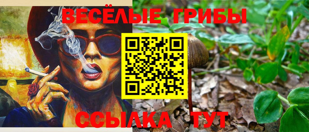 Галлюциногенные грибы ЛСД  Псилоцибиновые грибы Psilocybe  Вход с VPN  Дедовск 